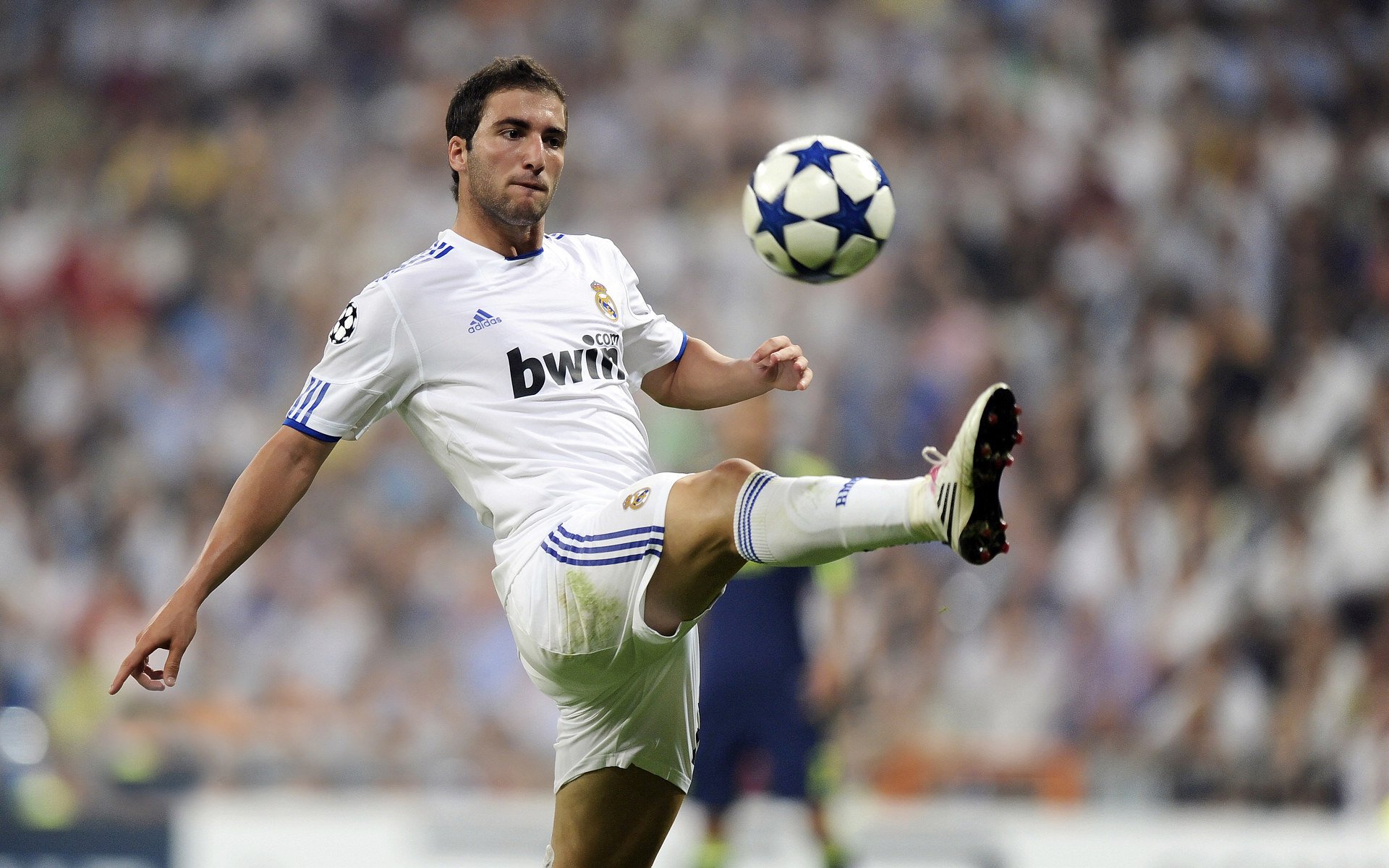 德甲激烈角逐，球迷支持不断，德甲 集锦